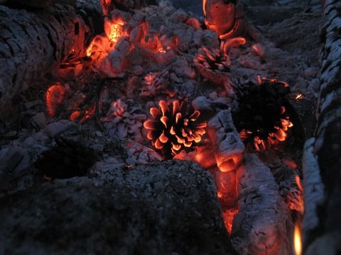 【画像】焚き火の風景を置いておきます