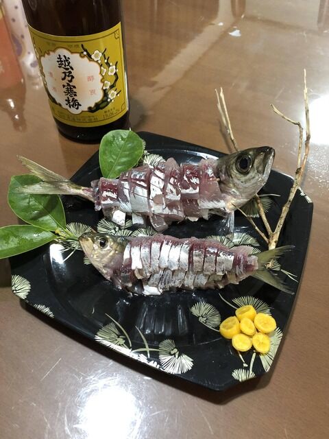 嫁がアジ釣りに開花して草