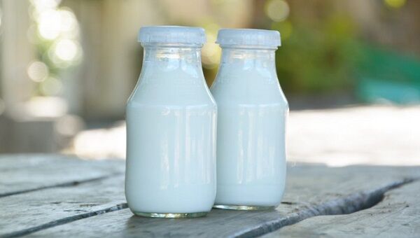 乳糖不耐症の人が牛乳を飲むと糖尿病のリスクが30％低下 消化されない乳糖が善玉菌のエサになる