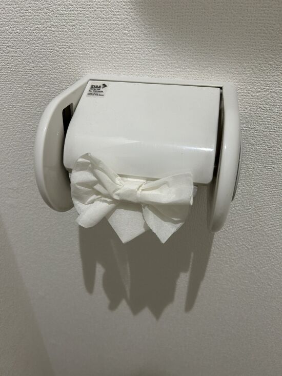 韓国人「トイレットペーパーをこうすると五つ星高級ホテルみたいになるよ」→日本人「韓国人凄いこと考えるなぁ！日本には無い発想だーー！」