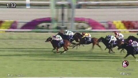 【競馬】マイルＣＳは代打の藤岡康太騎乗ナミュールが差し切りＶ