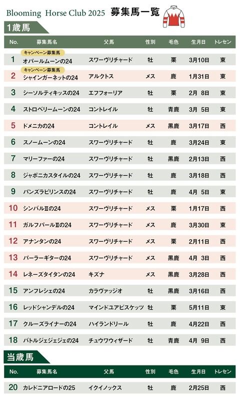 【競馬】新たな一口馬主クラブが誕生
