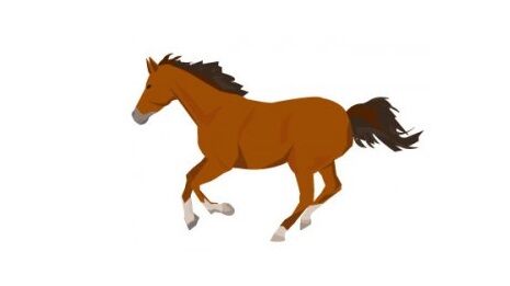 最近の競馬は暗い話題が多すぎだから半ケツでゴールした騎手の画像を流したい