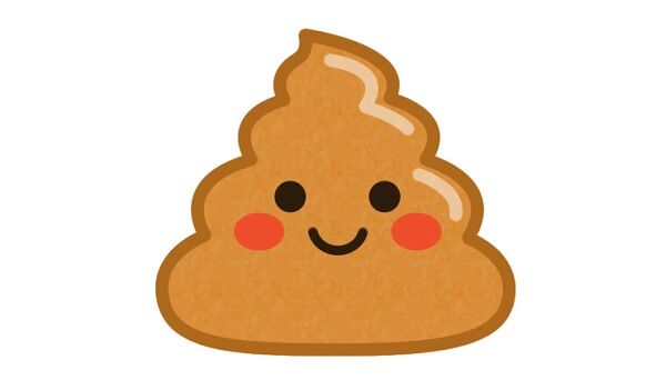 ブラックフライデーでうんこが投げ売りされる