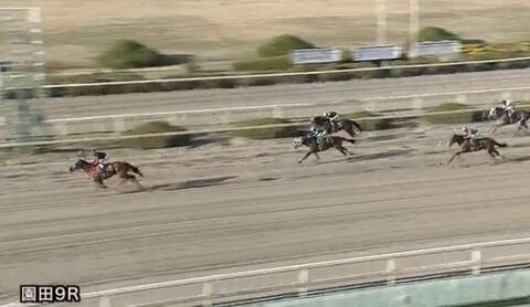 【競馬】サクラザチェンジ　園田で単勝1.1倍にこたえて連勝