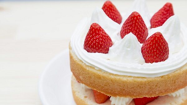 これがエルメのクリスマスケーキ(18000円)らしい