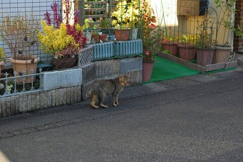 大洗行って撮った写真をひたすら貼るスレ