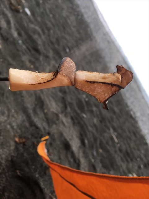 鹿児島から歩いて埼玉を目指す。 part 10