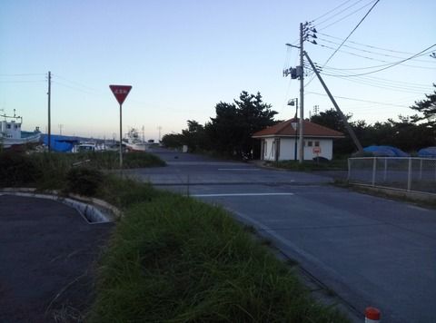 【猫】秋田県象潟海水浴場の奥の漁港からお送りしております