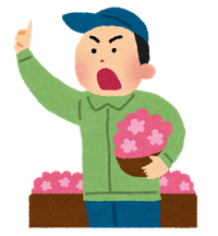 34歳やけどアサガオ植えたでー