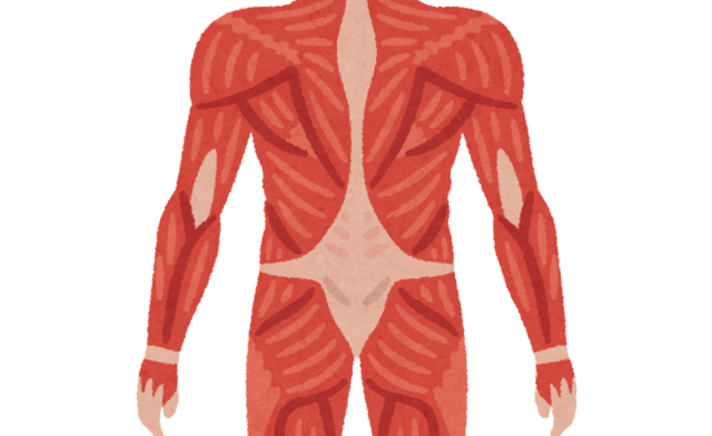 心臓って『起動後ずっと動き続けなくてはならず、止まると全システム崩壊』だけど運用が無茶過ぎでは？