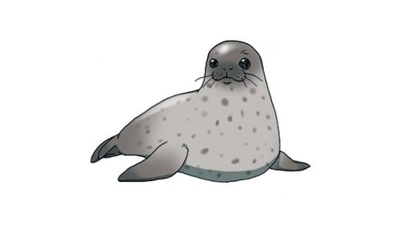 【画像】海坊主はアザラシ説