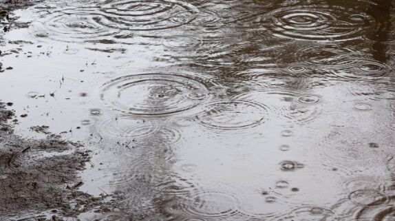 「避難といえば大型台風が来たとき、同地域にあるイオンは早々に閉まり他のテナントも閉店してる中でうちのエリアマネージャーが…」