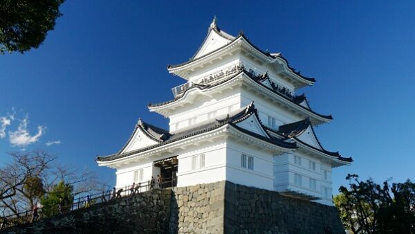 小田原城に展示されているちんぽ