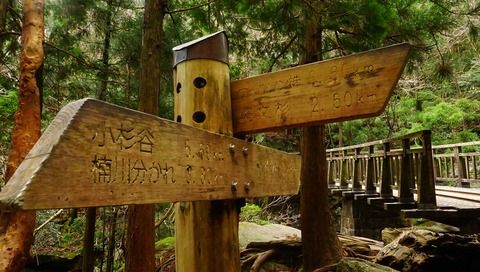 屋久島に行って来たのでうpする part 1