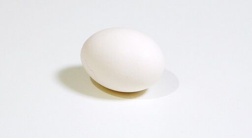 「ゆで卵にマヨネーズをかけたら『それは卵に卵をつけてるだけじゃん』と笑われた。なら一生お前は冷奴に豆腐をかけるなよ」