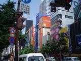 seichi