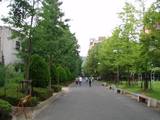 kindai2