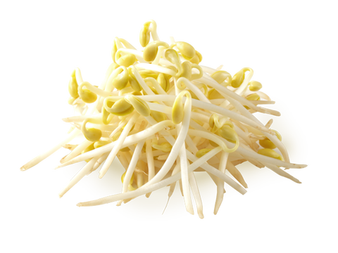 yasai05_detail01_img