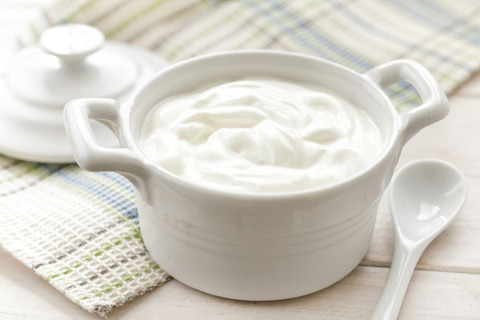 131022_yogurtmaker01