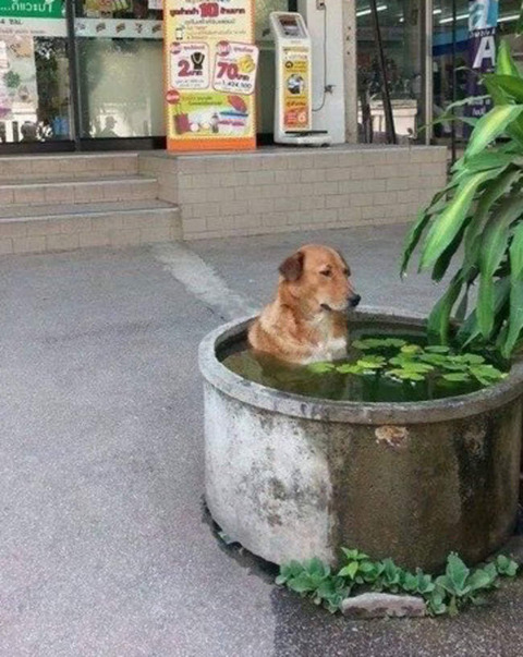 no title