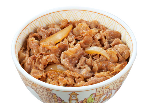 photo_gyudon_100100