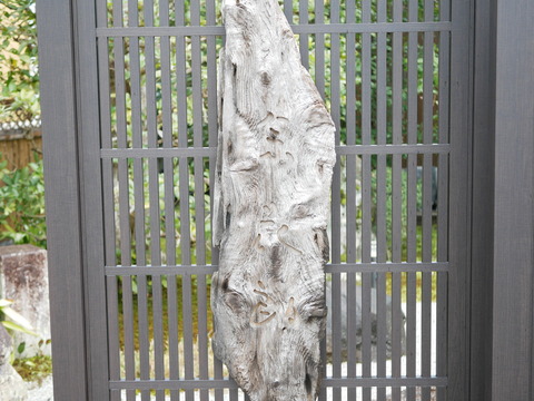 P1720027