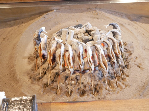 P1780505