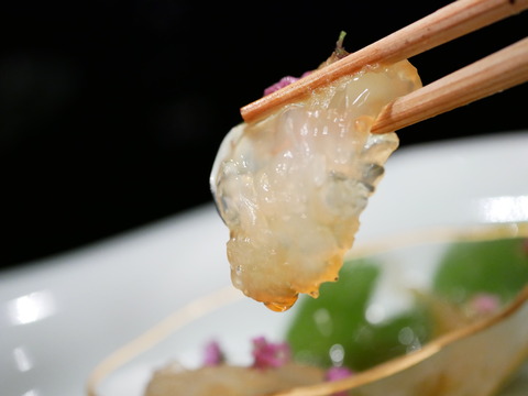 P1830866