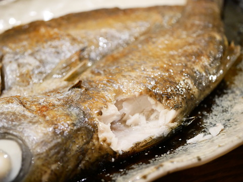 P1770737