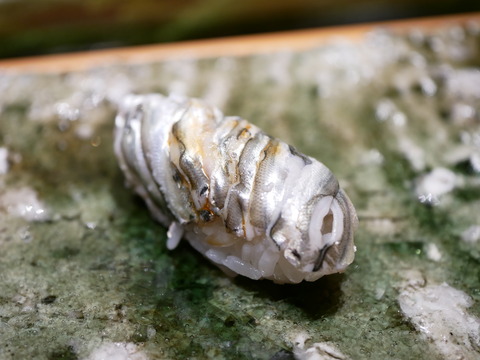 P1830760