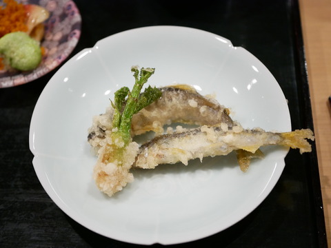 P1730555