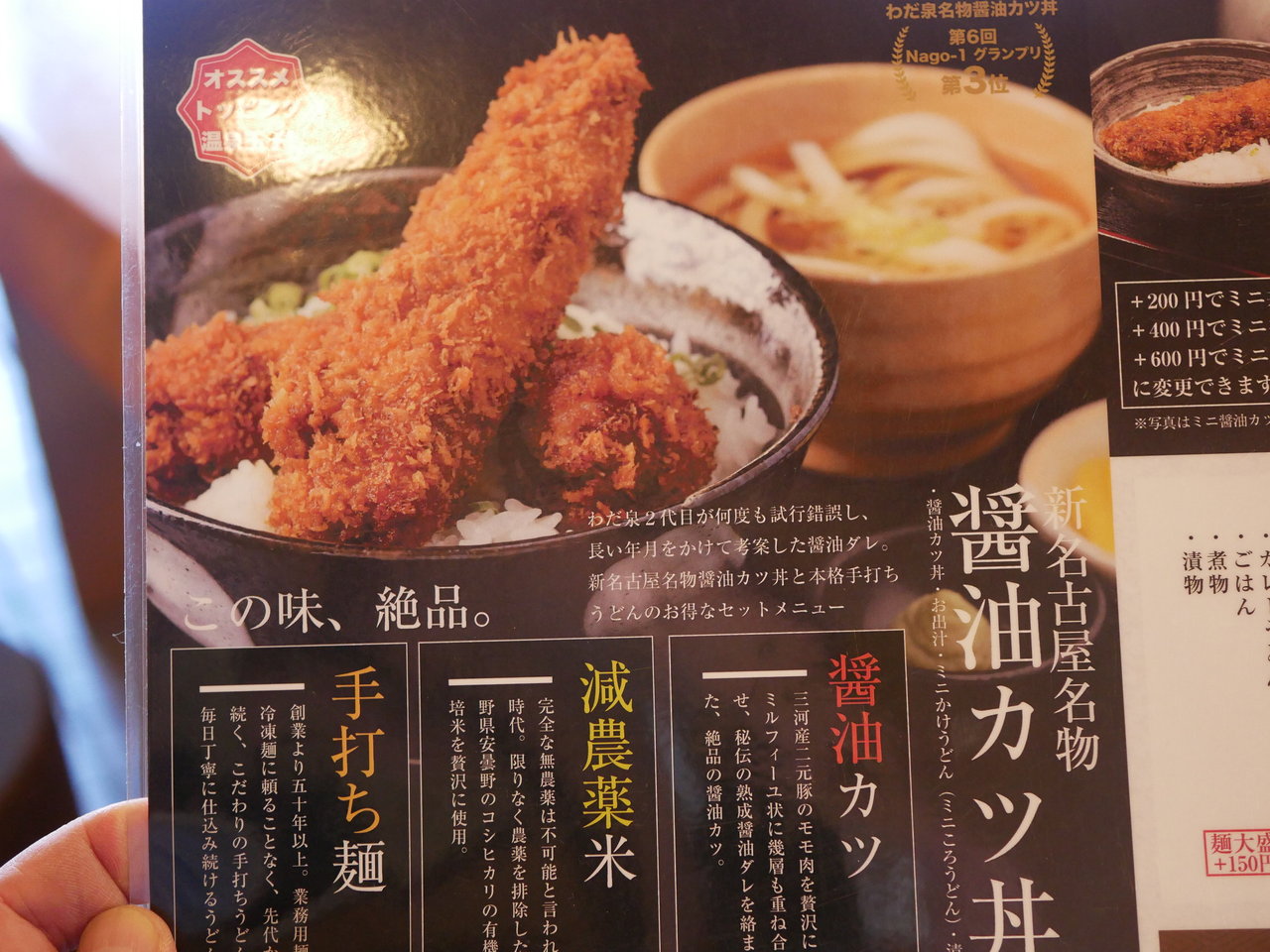 守山区 わだ泉 本店 わだ泉セット編 Antonグダグダ備忘録 守山区 わだ泉 本店 わだ泉セット編 Antonグダグダ備忘録