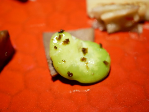 P1780880