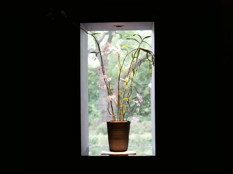 P1820574