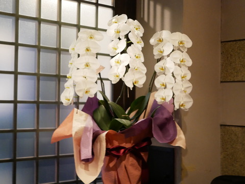 P1830778
