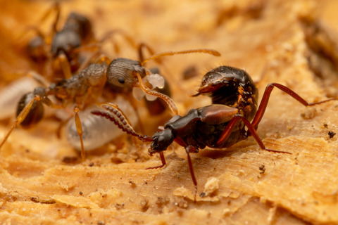 ���說��������������餹�ϥ�������Υ��ϥͥ�����