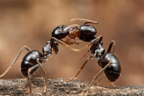 �������