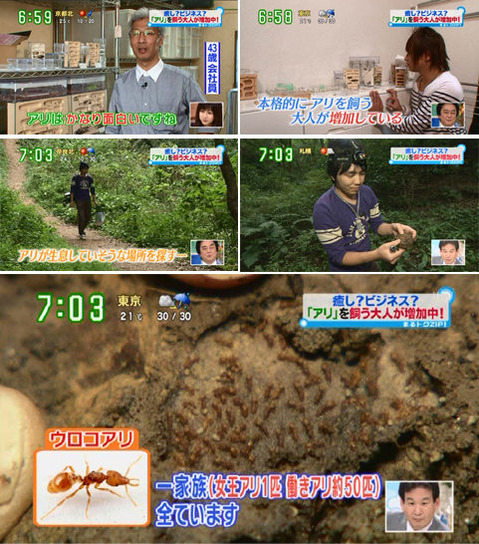 す・またん!