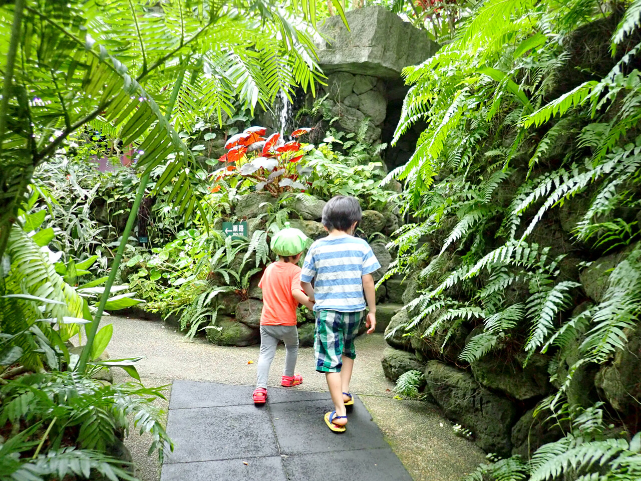 夏休み最後の日は 板橋区立 熱帯環境植物館 ありんこ日記 Antroom