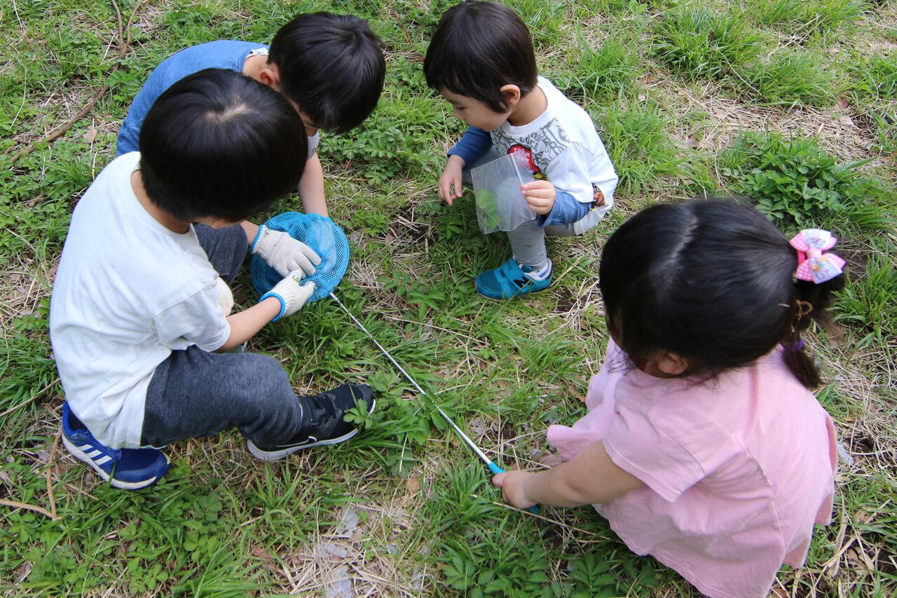 カブトムシの幼虫探し ありんこ日記 Antroom カブトムシの幼虫探し ありんこ日記 Antroom