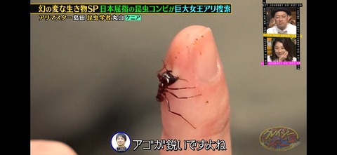 ���쥤�������㡼�ˡ�