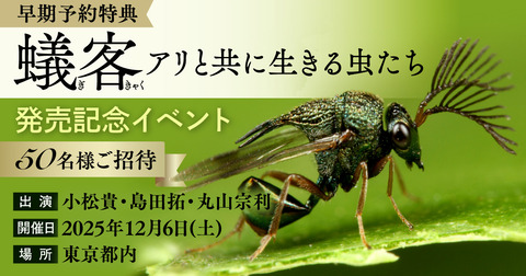 蟻客