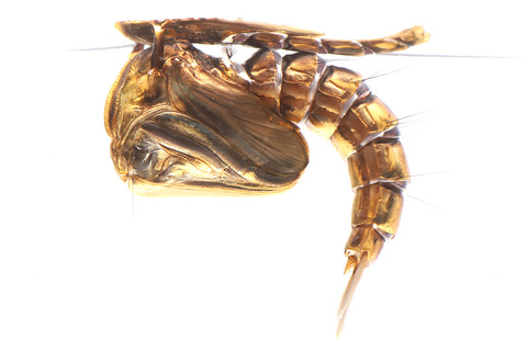 �ȥ��������