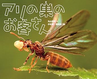 51N1B9H7BtL._SX342_SY445_