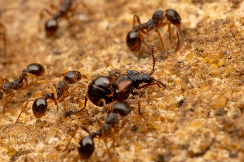 ���說��������������餹�ϥ�������Υ��ϥͥ�����