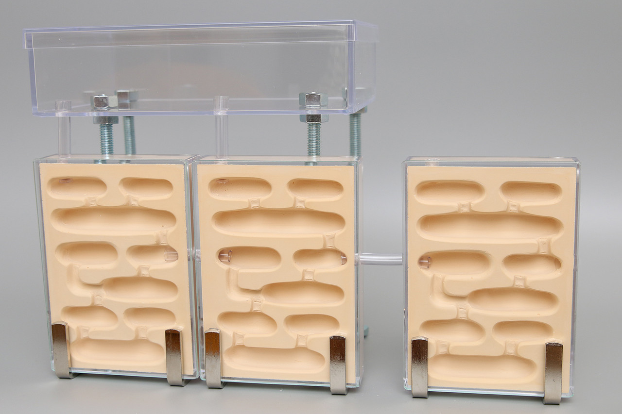 蟻マシーン2号ミニ特大エサ場付き販売再開 : ありんこ日記 AntRoom