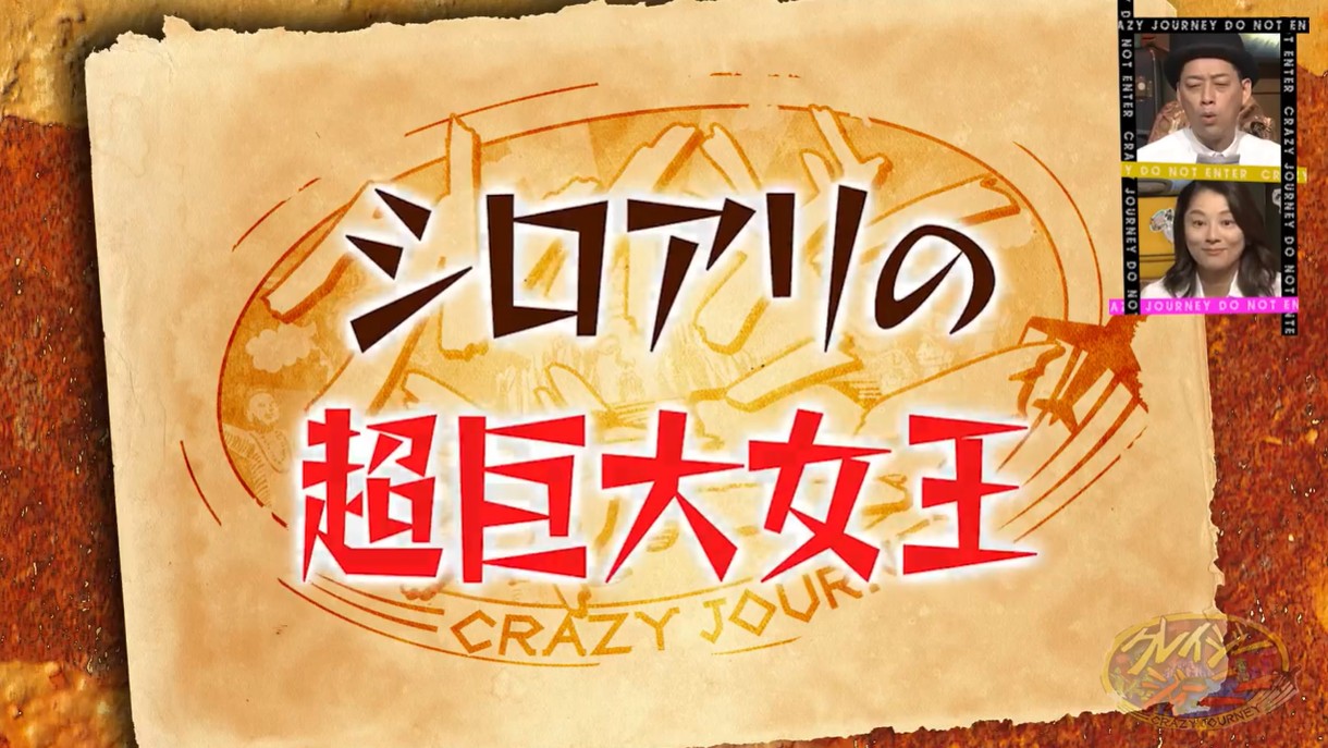超巨大シロアリ女王発見！ : ありんこ日記 AntRoom