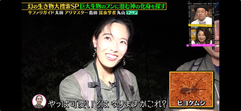 �ҥ襱�ॷȯ��