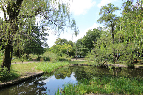 石神井公園